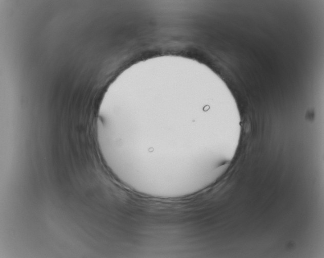 X0000113131252200910161124