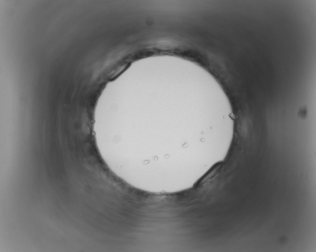 X0000113131253200910161124