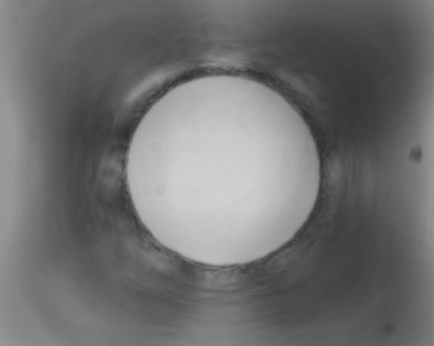 X0000113131254200910161124