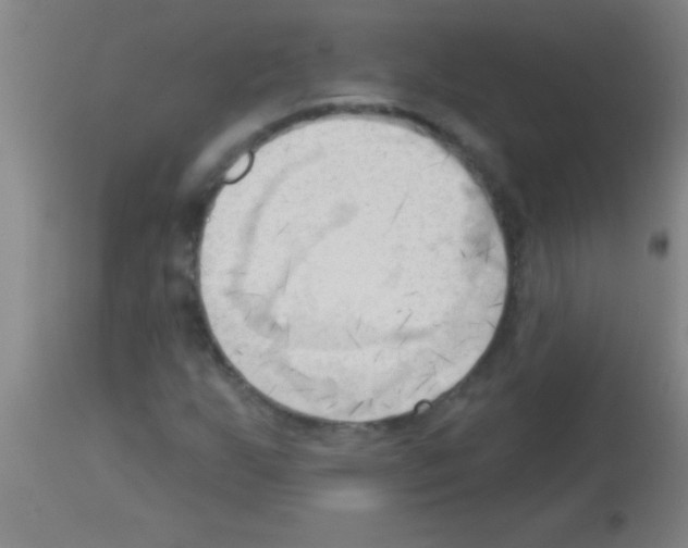 X0000113131255200910161124