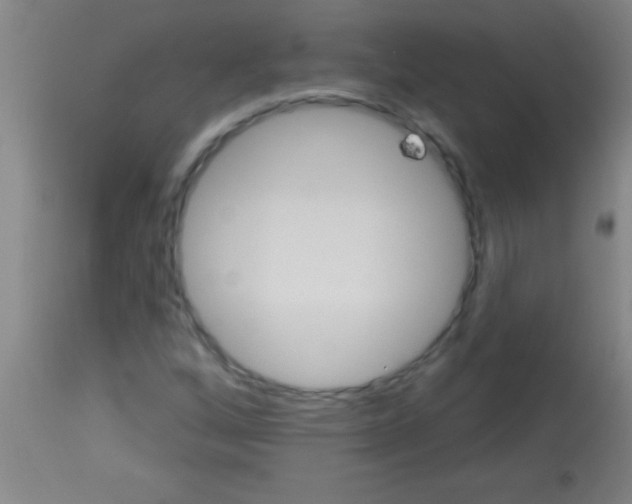 X0000113131256200910161124