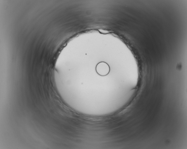 X0000113131257200910161124