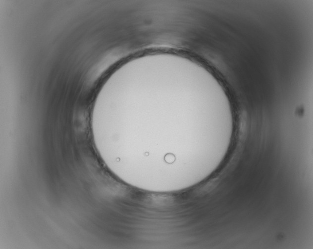 X0000113131258200910161124