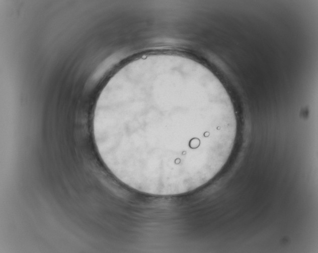 X0000113131259200910161124