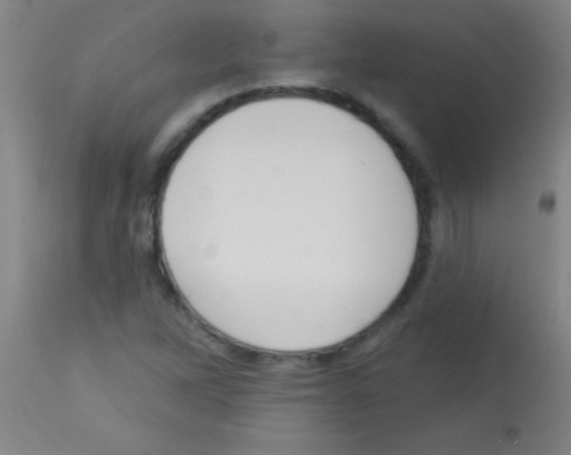 X0000113131262200910161124