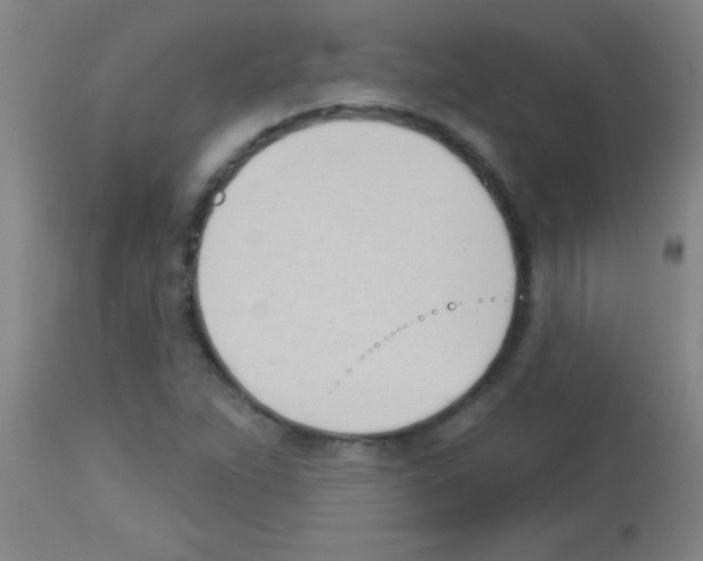 X0000113131263200910161124