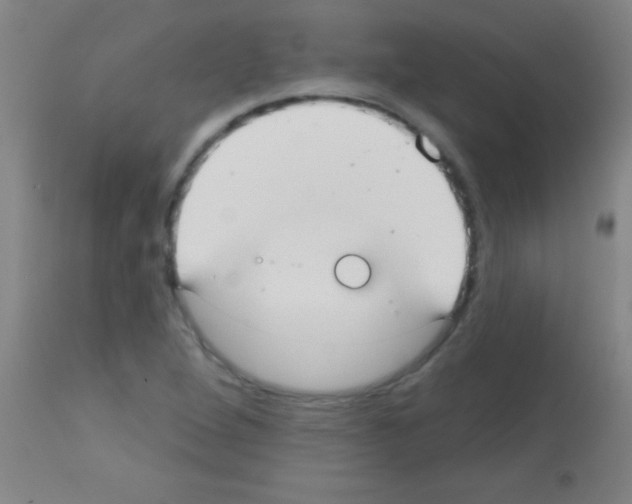 X0000113131264200910161124