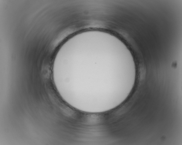 X0000113131266200910161124