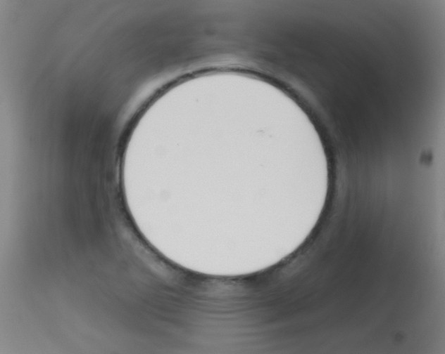 X0000113131270200910161124