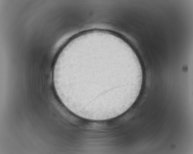 X0000113131271200910161123