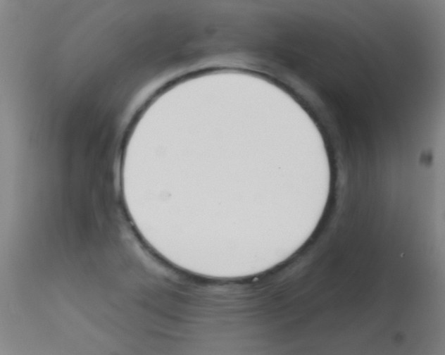 X0000113131272200910161123