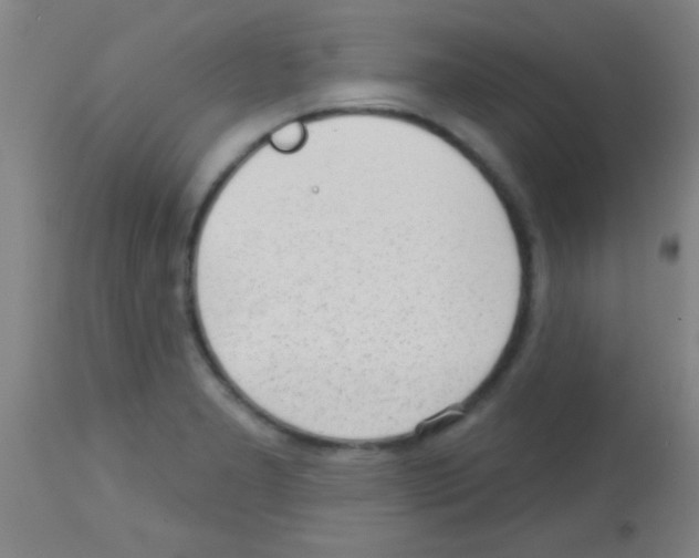 X0000113131277200910161123