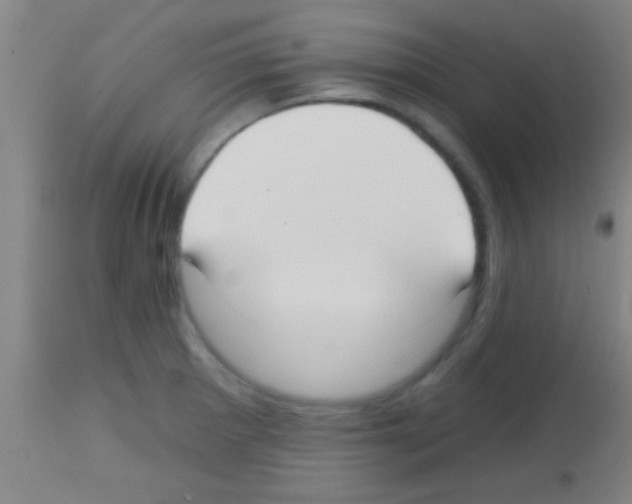 X0000113131281200910161123