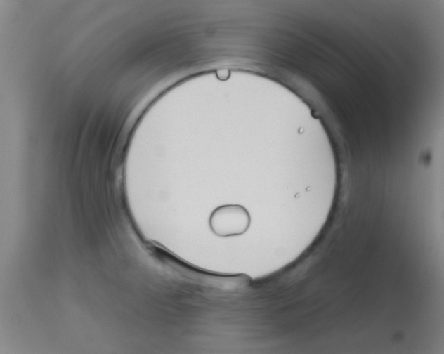 X0000113131284200910161123