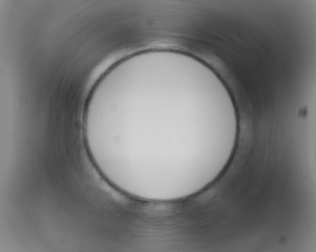 X0000113131286200910161123