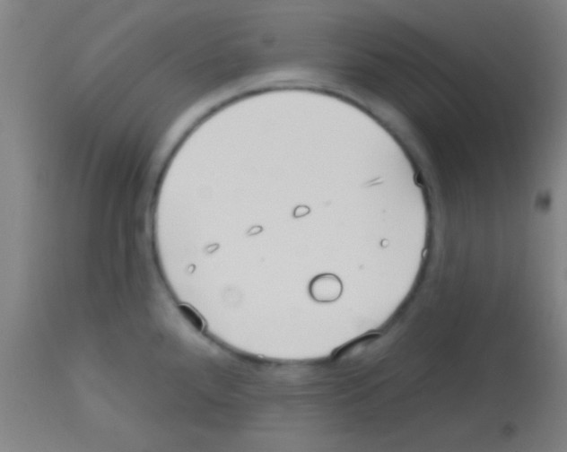 X0000113131288200910161123