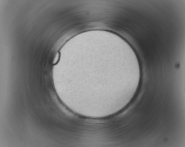 X0000113131289200910161123