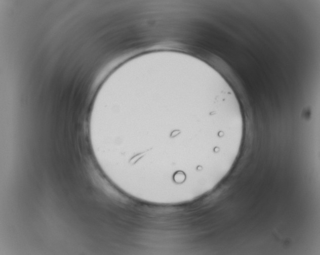 X0000113131292200910161123