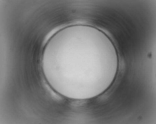 X0000113131294200910161123