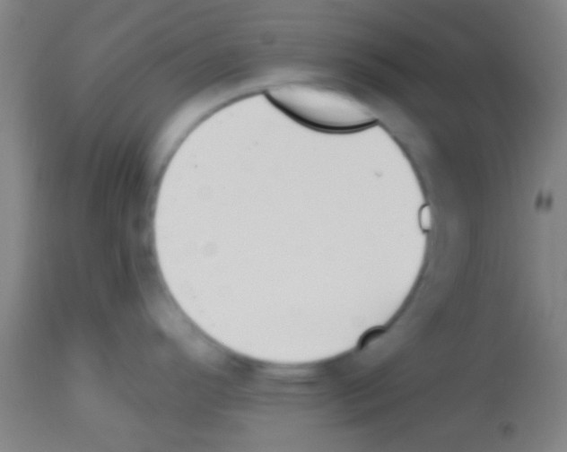 X0000113131296200910161123