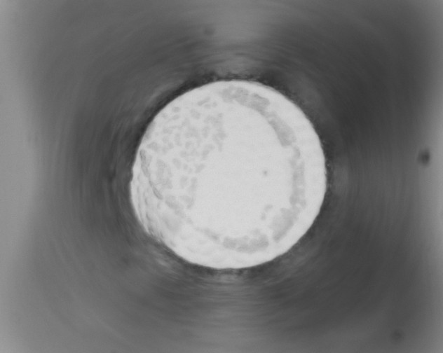 X0000113131297200910161122