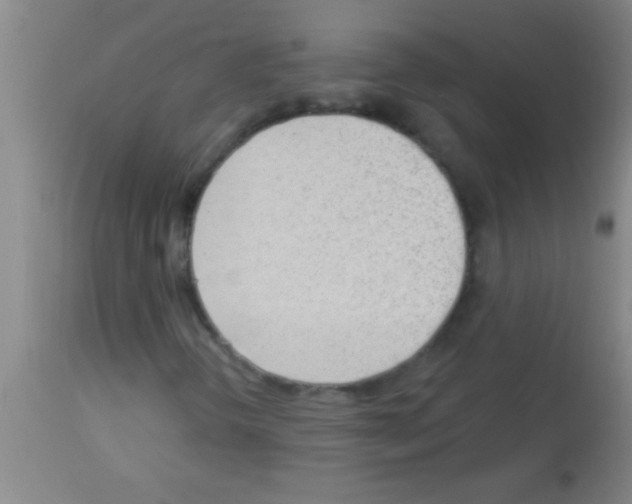 X0000113131298200910161122