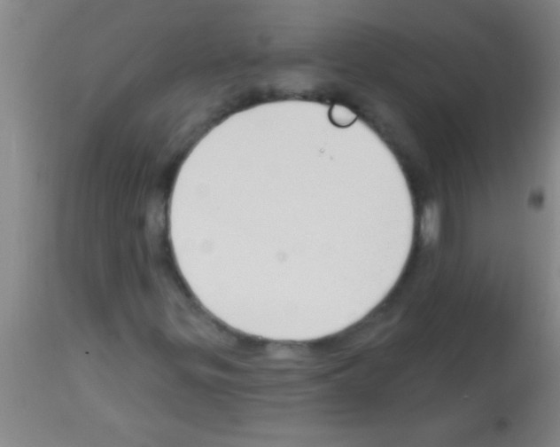 X0000113131299200910161122