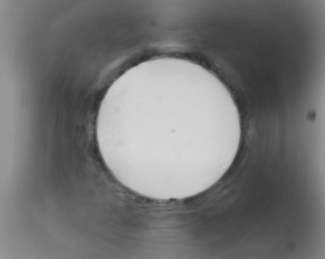 X0000113131301200910161122