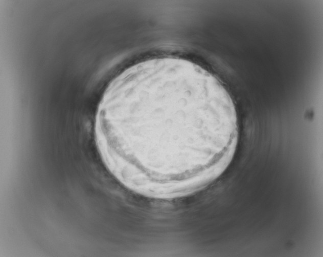 X0000113131302200910161122