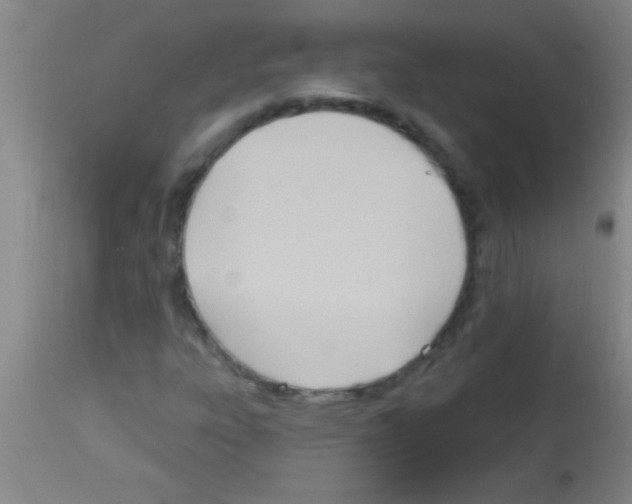 X0000113131303200910161122