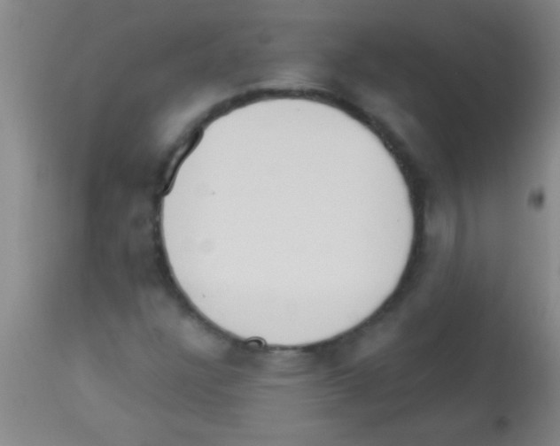 X0000113131304200910161122