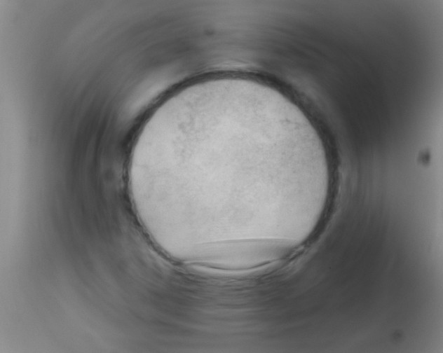 X0000113131306200910161122