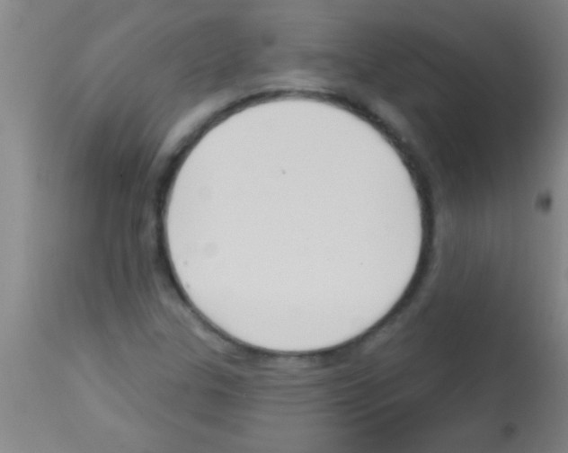 X0000113131307200910161122