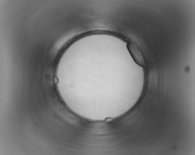 X0000113131310200910161122