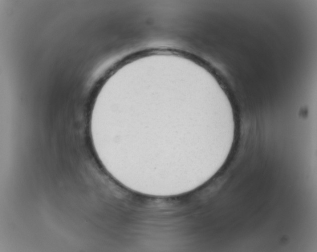 X0000113131311200910161122