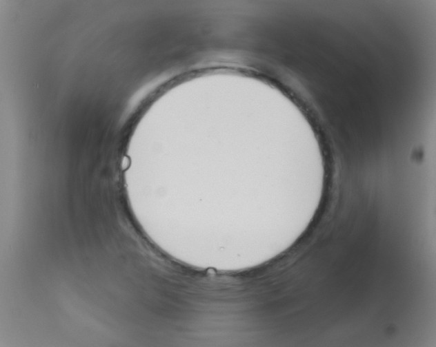 X0000113131312200910161122