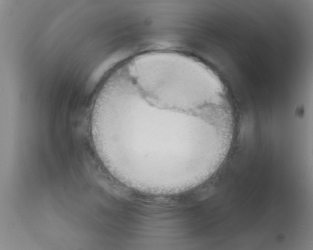 X0000113131314200910161122