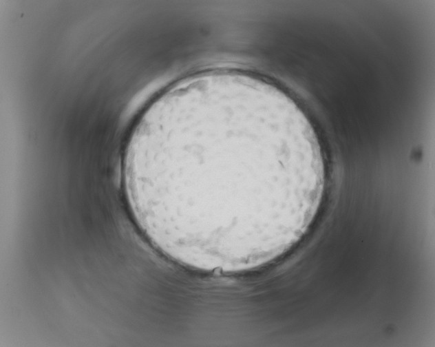 X0000113131317200910161122