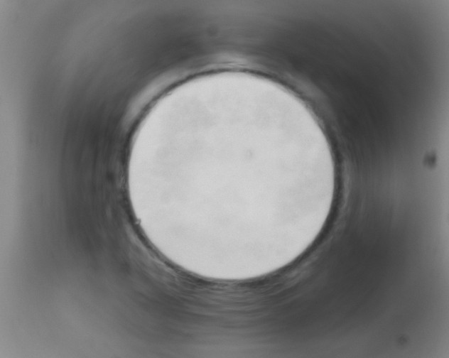 X0000113131318200910161122