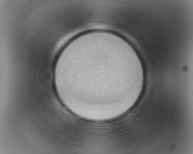 X0000113131319200910161122