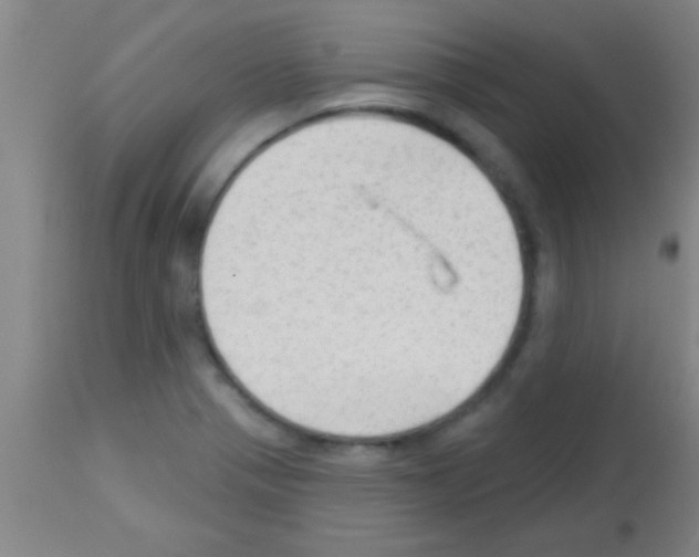 X0000113131321200910161122