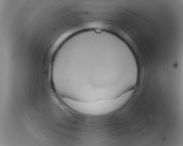 X0000113131323200910161122