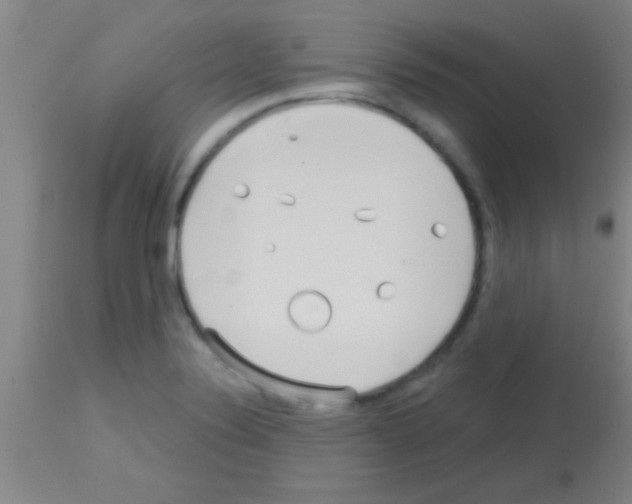 X0000113131324200910161123