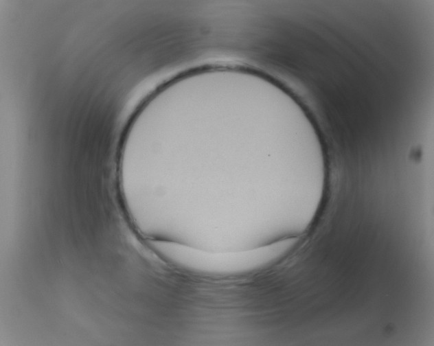 X0000113131327200910161123