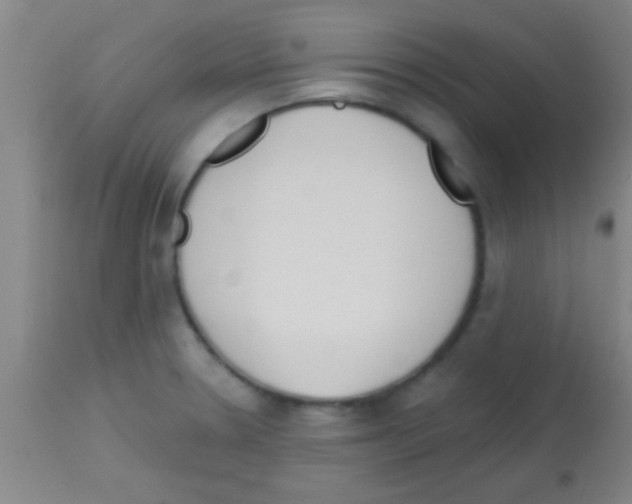 X0000113131330200910161123