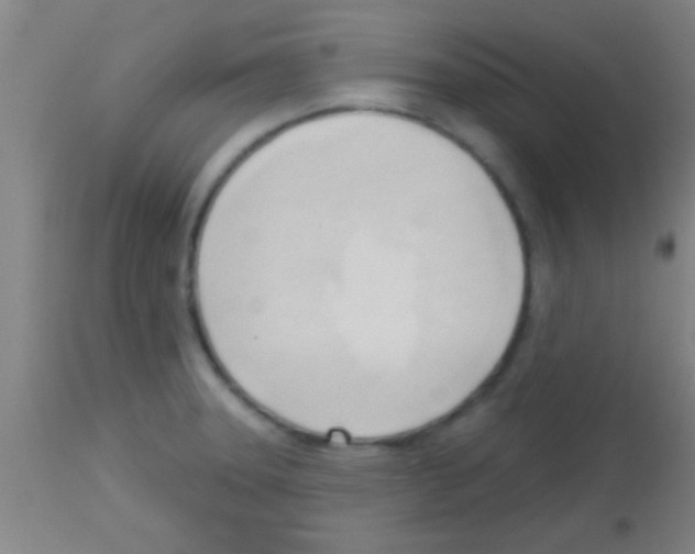 X0000113131331200910161123