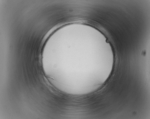 X0000113131332200910161123