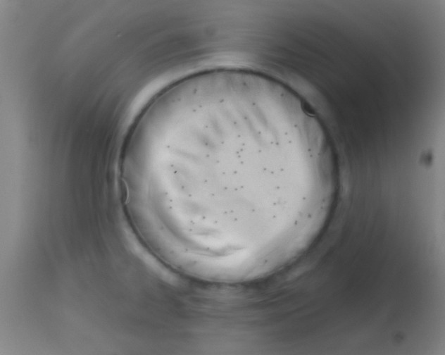 X0000113131334200910161123