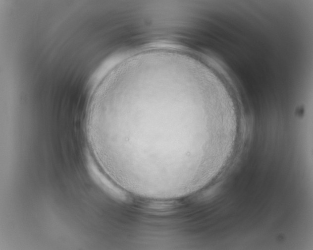 X0000113131338200910161123