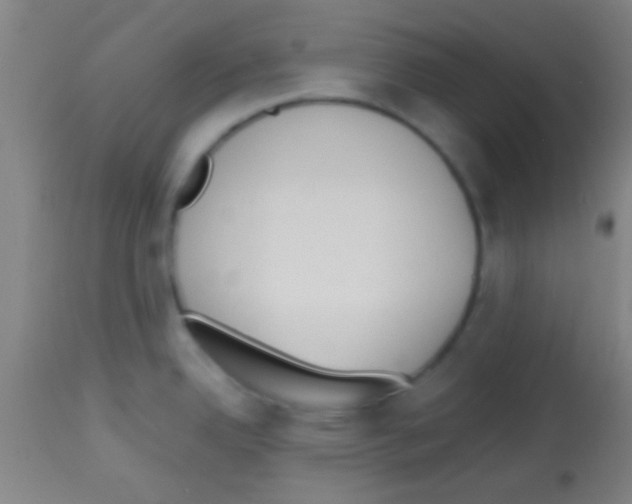 X0000113131342200910161123